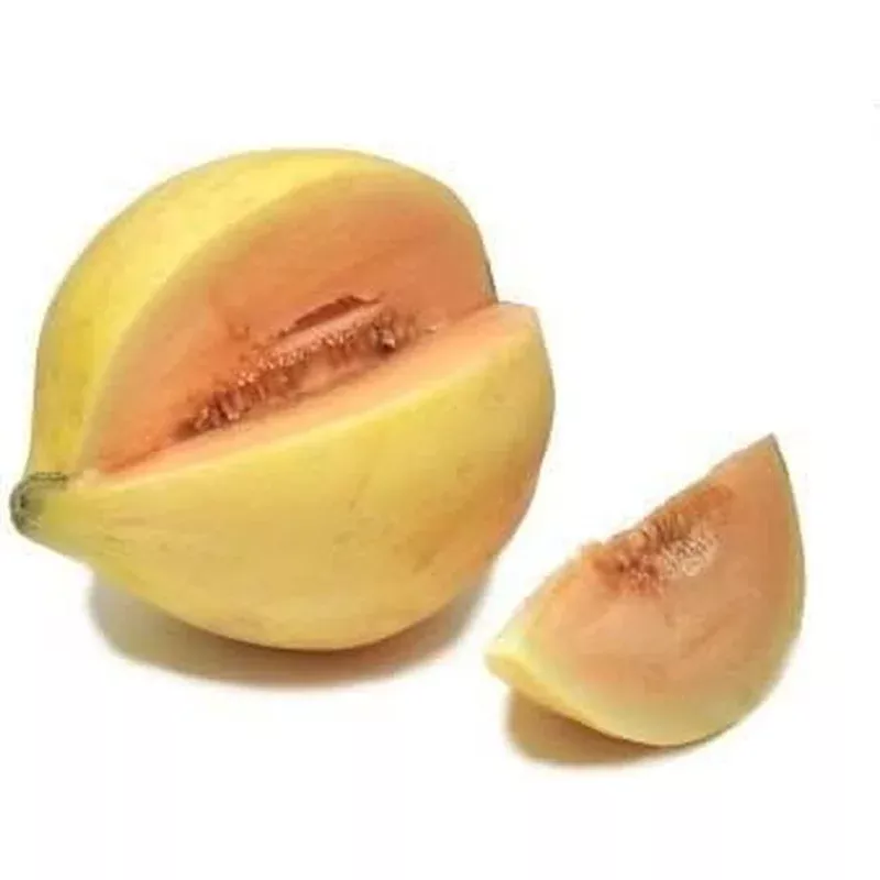 yellow-cucumis-melo-fruit-seeds-planting Yellow Cucumis Melo Fruit Seeds Planting