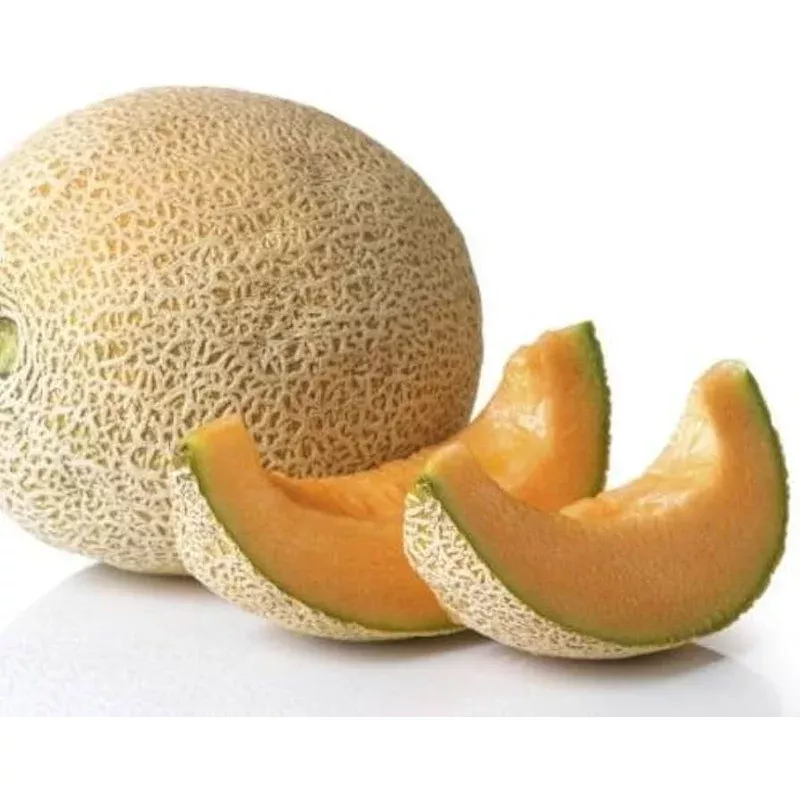 Yellow Galia Melon Vegetable Seeds Planting Sweet
