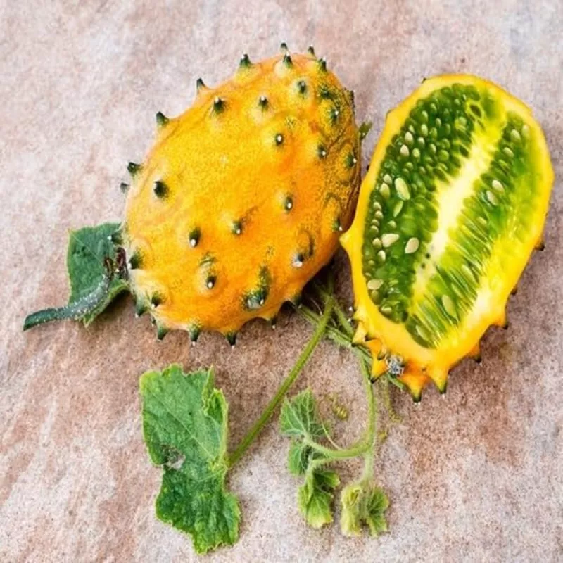yellow-kiwano-melon-fruit Yellow Kiwano Melon Fruit