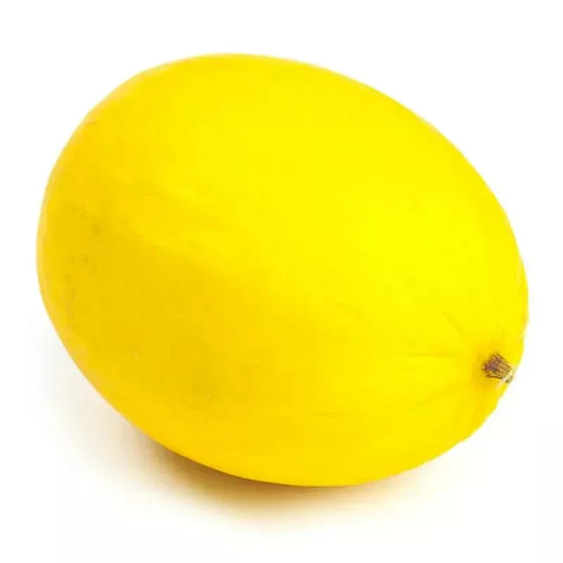 yellow-melon-fruit-seeds-planting-sweet Yellow Melon Fruit Seeds Planting Sweet