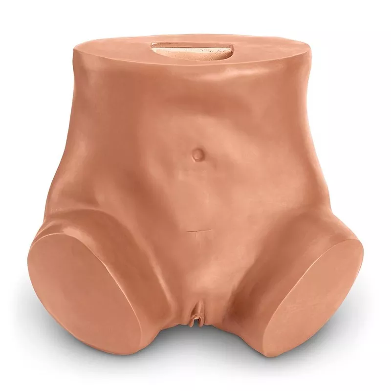 zoe-gynecologic-simulator-medium ZOE Gynecologic Simulator, Medium