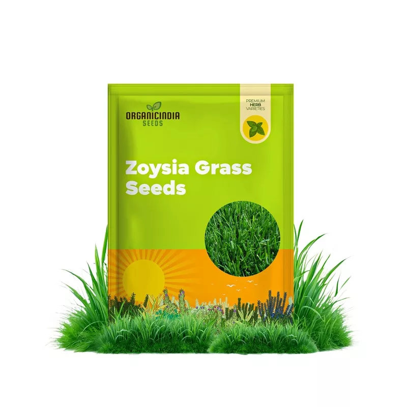 zoysia-grass-seedspremium-turf-grass-lawns-golf-courses-landscaping Zoysia Grass SeedsPremium Turf Grass for Lawns, Golf Courses & Landscaping